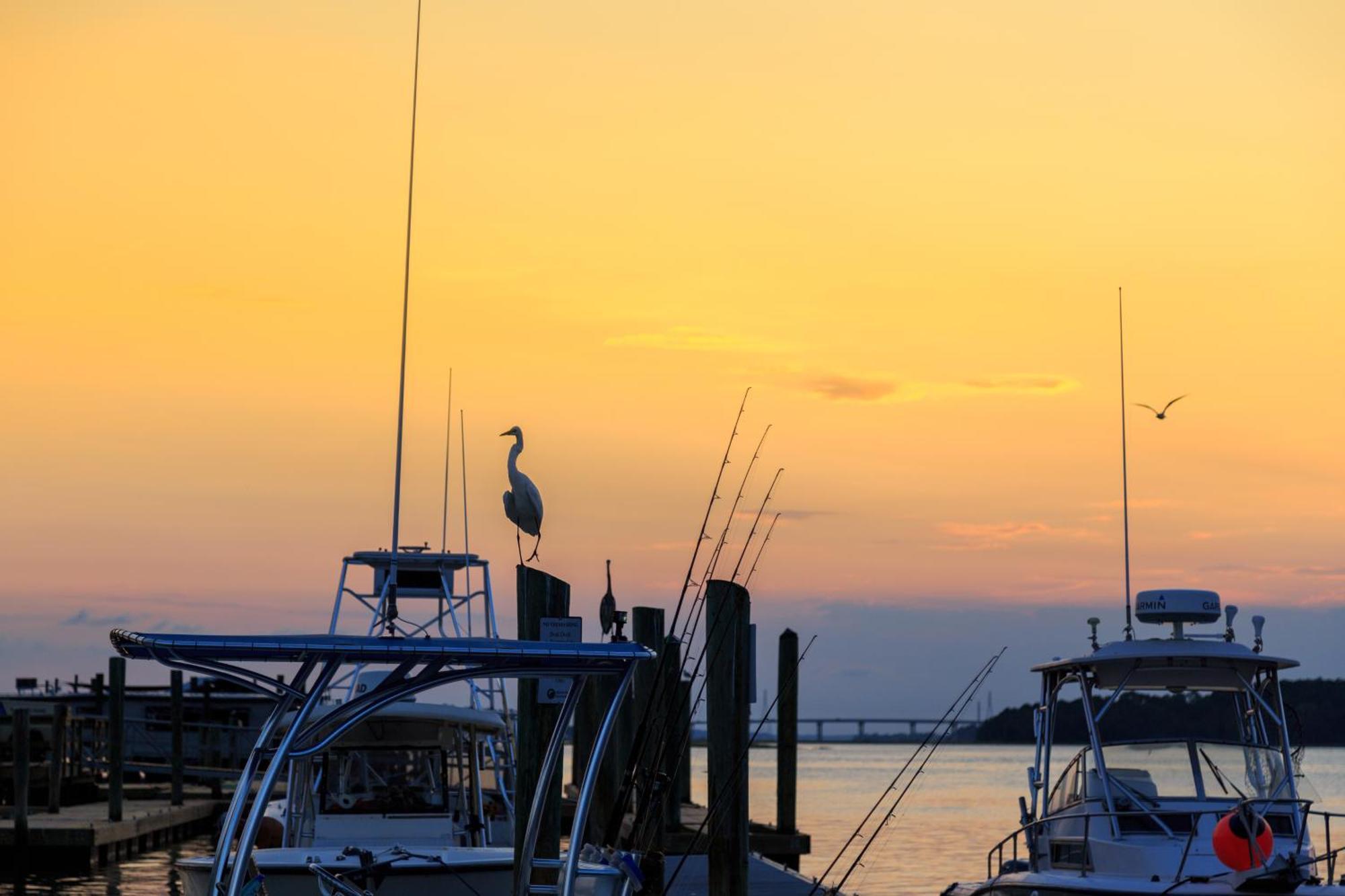 Forest Beach Villas Hilton Head Island Oda fotoğraf